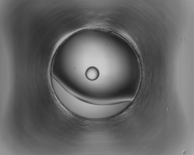 X0000111431344200907201101