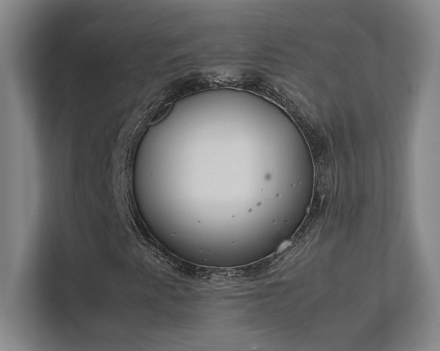 X0000111431345200907201100