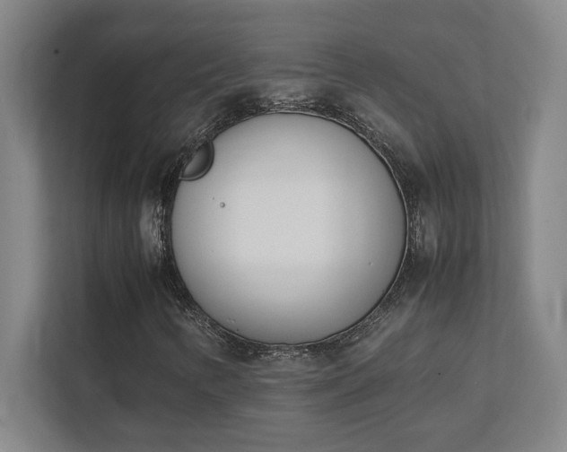 X0000111431346200907201100