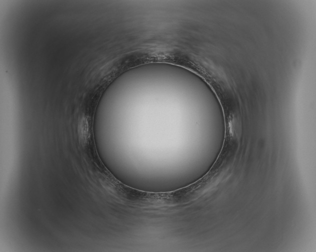 X0000111431347200907201100