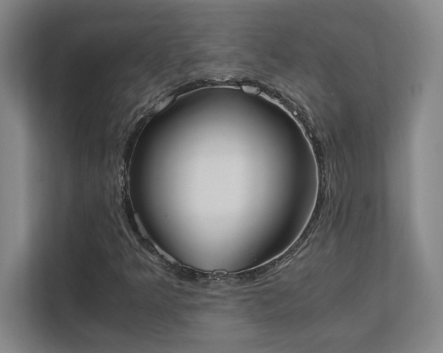 X0000111431349200907201100