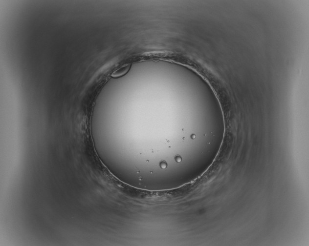 X0000111431351200907201100