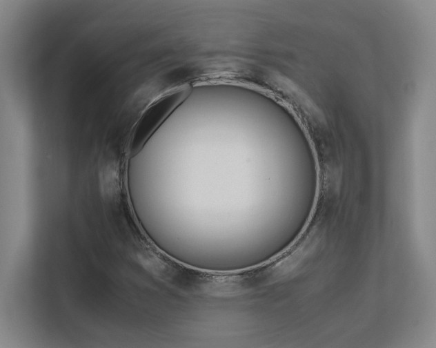 X0000111431353200907201100