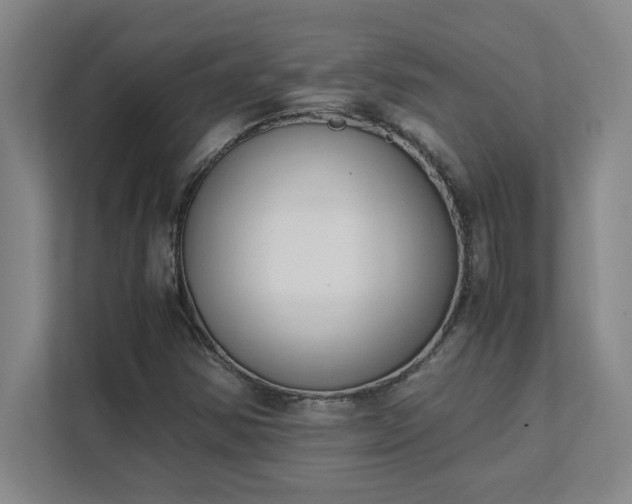 X0000111431354200907201100