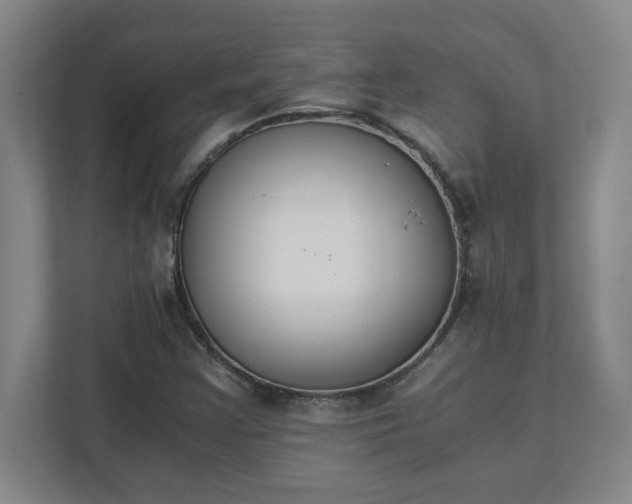 X0000111431355200907201100