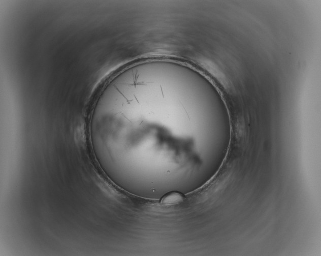 X0000111431356200907201100