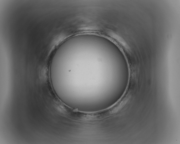 X0000111431357200907201100