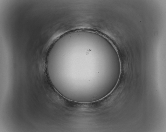 X0000111431359200907201100