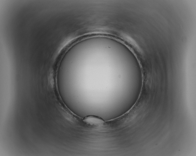 X0000111431360200907201100