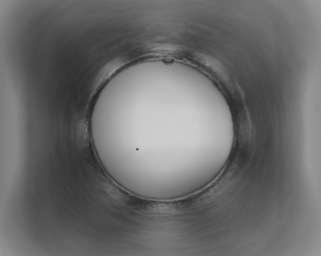 X0000111431362200907201100