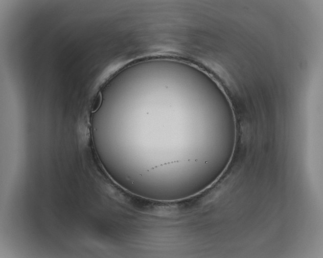 X0000111431363200907201100