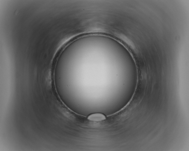 X0000111431364200907201100