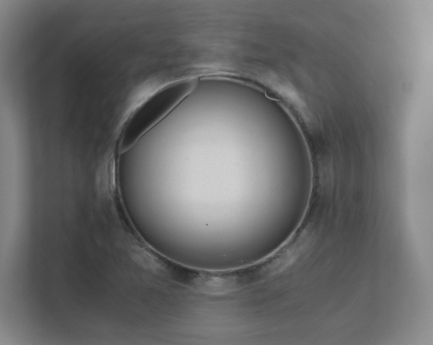 X0000111431365200907201100