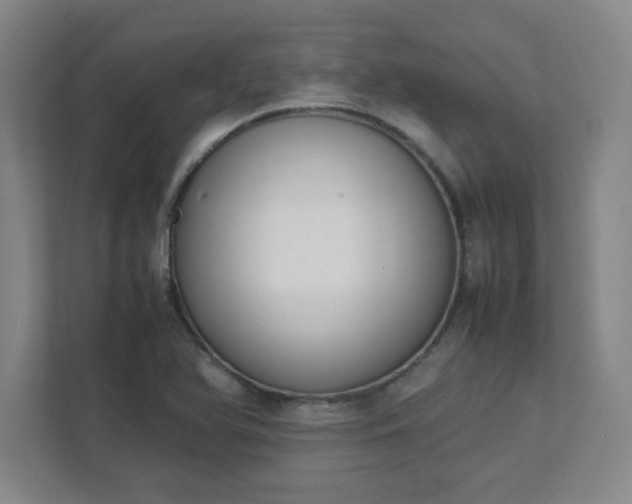 X0000111431366200907201100