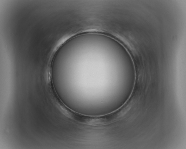 X0000111431367200907201100