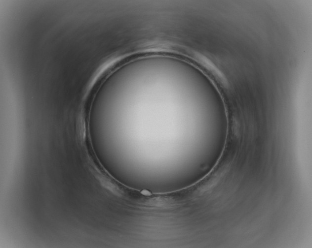 X0000111431368200907201100