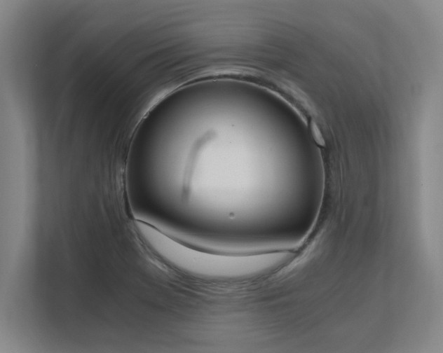 X0000111431369200907201100