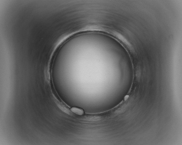 X0000111431372200907201100