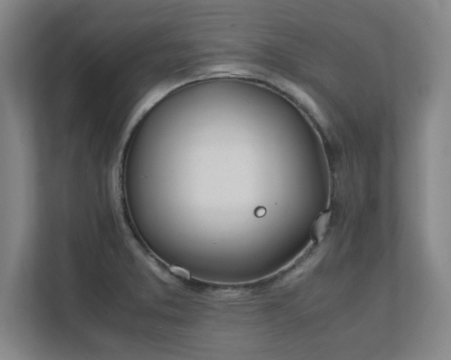 X0000111431373200907201100