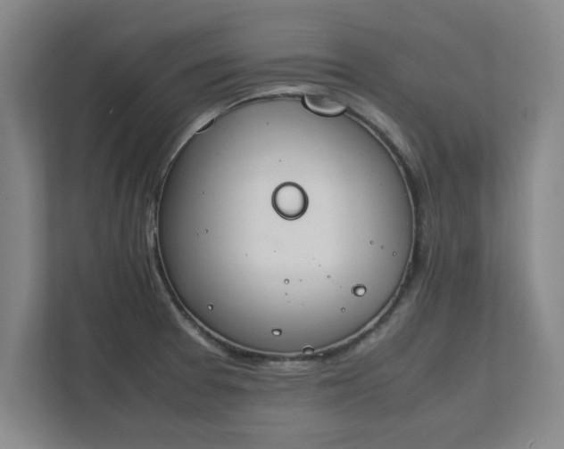 X0000111431377200907201059