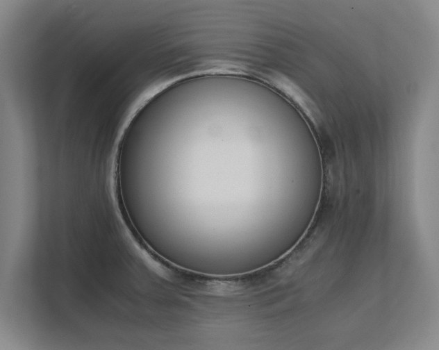 X0000111431379200907201059