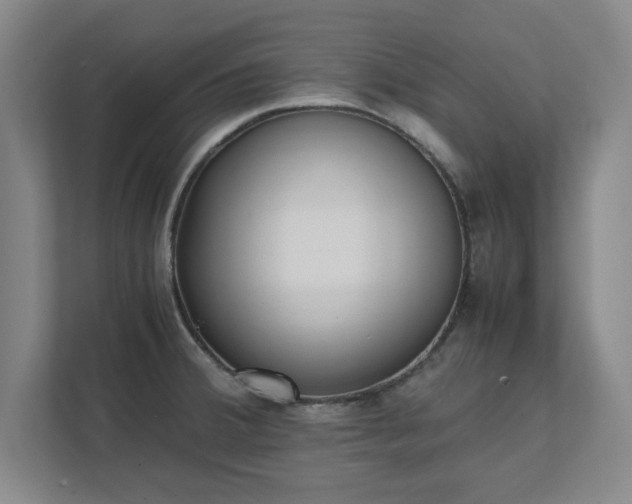 X0000111431380200907201059