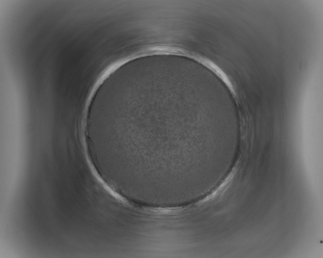 X0000111431381200907201059