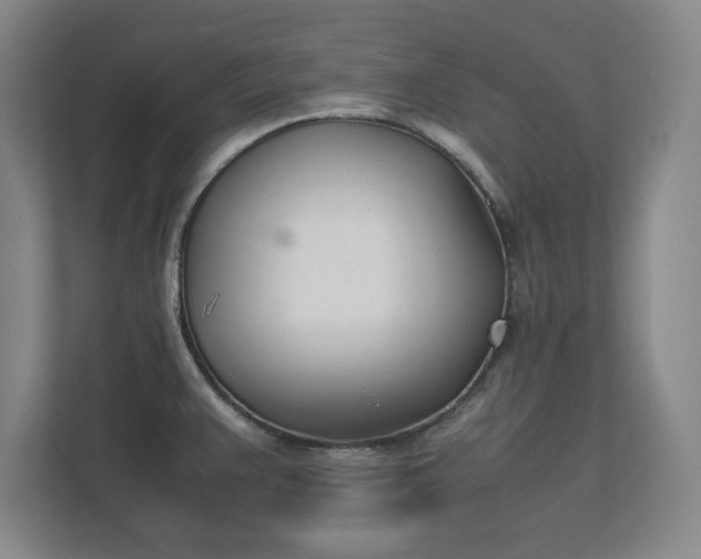 X0000111431383200907201059