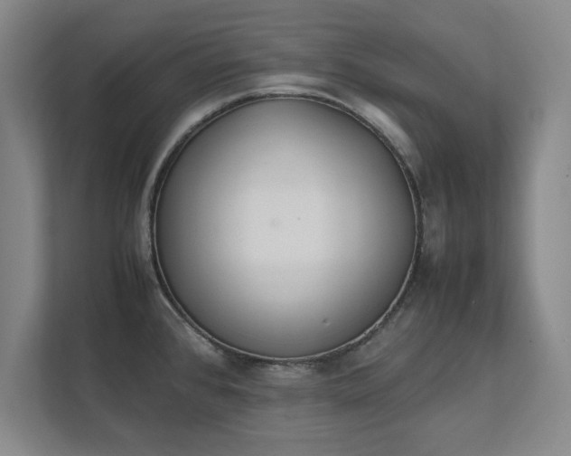 X0000111431384200907201059