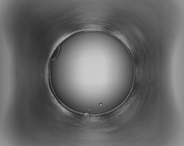 X0000111431387200907201059