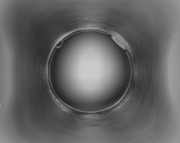 X0000111431388200907201059