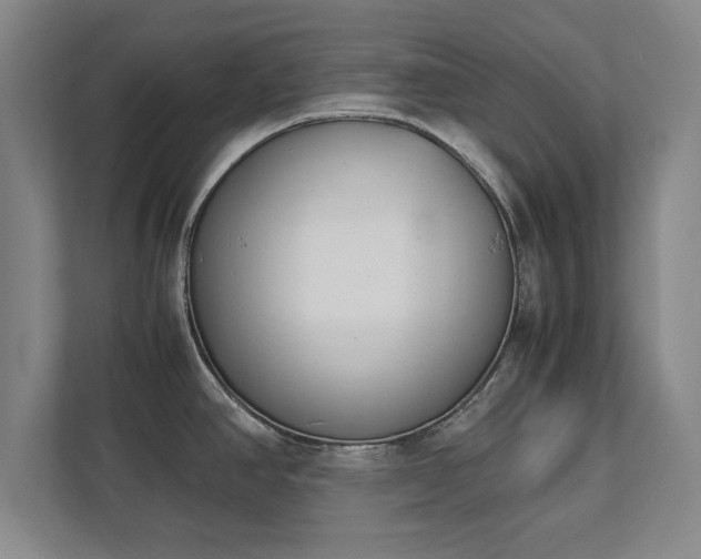 X0000111431390200907201059