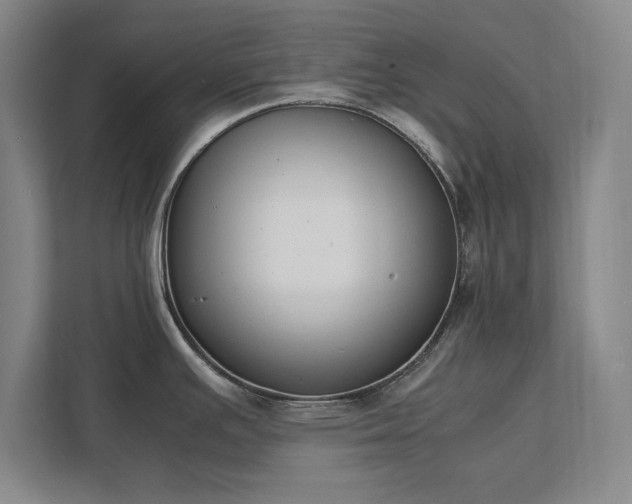 X0000111431391200907201059