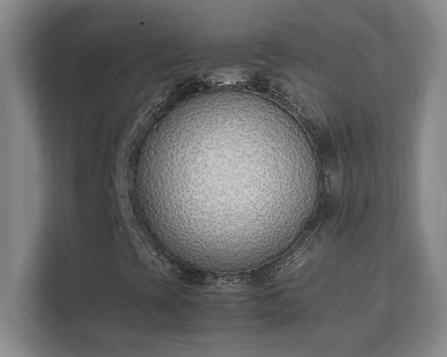 X0000111431393200907201058