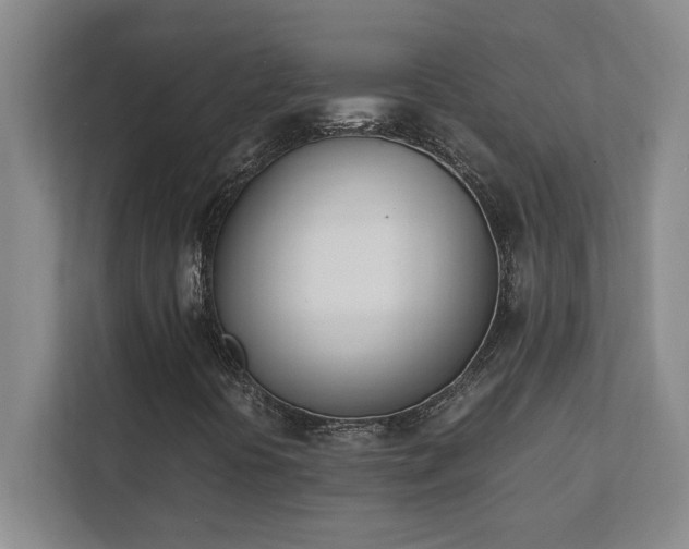 X0000111431394200907201059