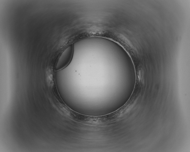 X0000111431396200907201059