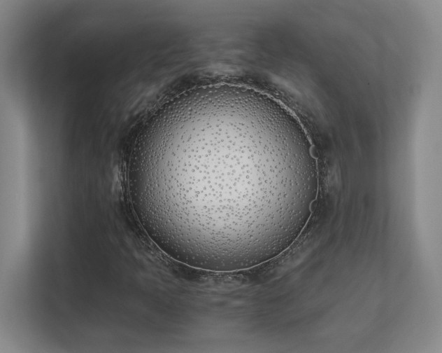 X0000111431397200907201059