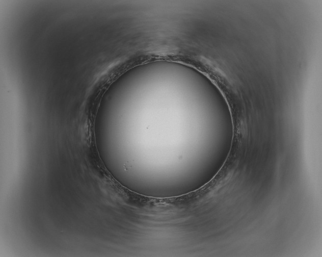 X0000111431398200907201059