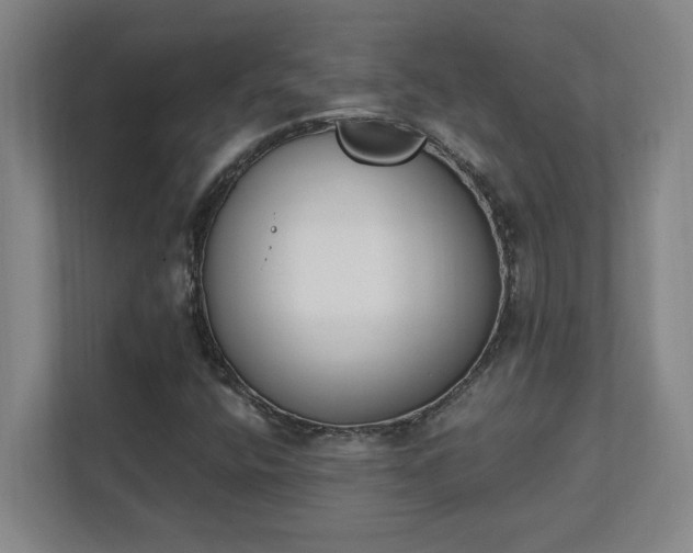 X0000111431400200907201059