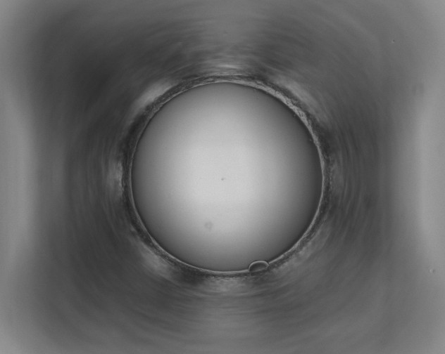 X0000111431402200907201059