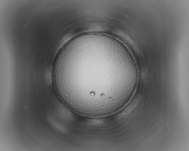 X0000111431409200907201059