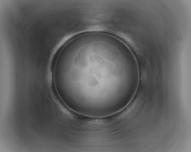 X0000111431414200907201059