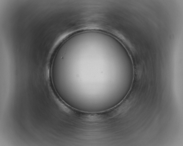 X0000111431416200907201059