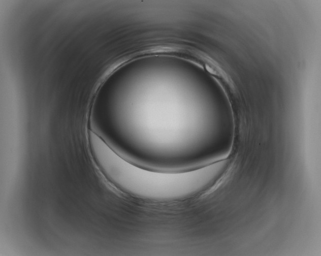 X0000111431417200907201059