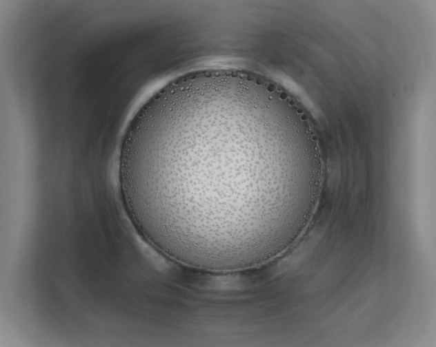 X0000111431421200907201059