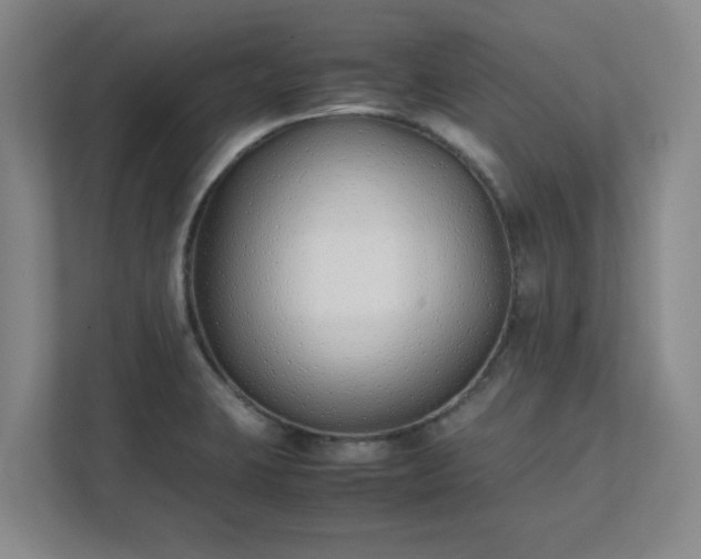 X0000111431423200907201059