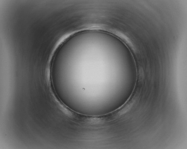 X0000111431424200907201059