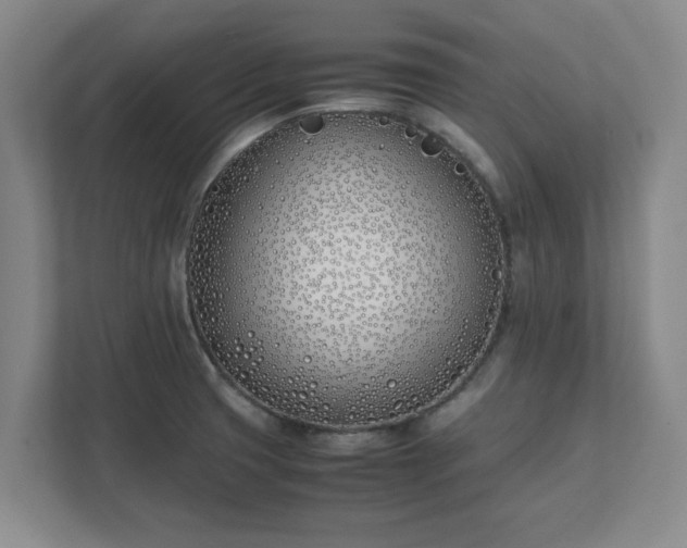 X0000111431425200907201059