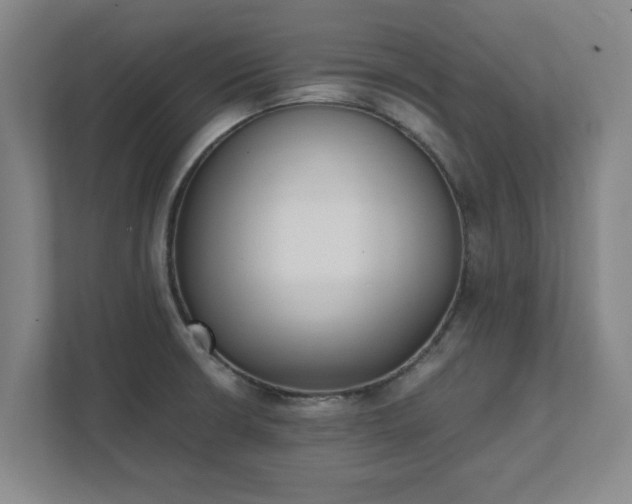 X0000111431426200907201059