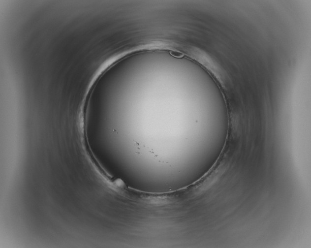 X0000111431428200907201059